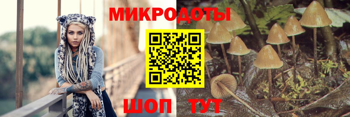Галлюциногенные грибы MAGIC MUSHROOMS Ленинск-Кузнецкий