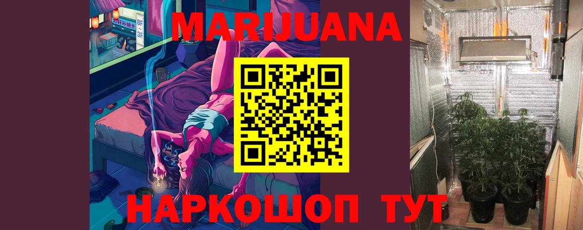 Каннабис OG Kush  Бошки Шишки тримм  Конопля план  Ленинск-Кузнецкий  Вход с VPN 